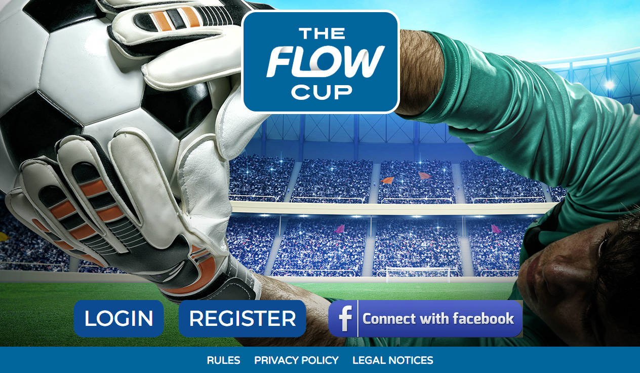 The Flow Cup